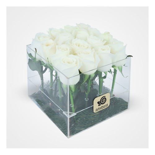 Lipstick Roses in Plexiglass Box